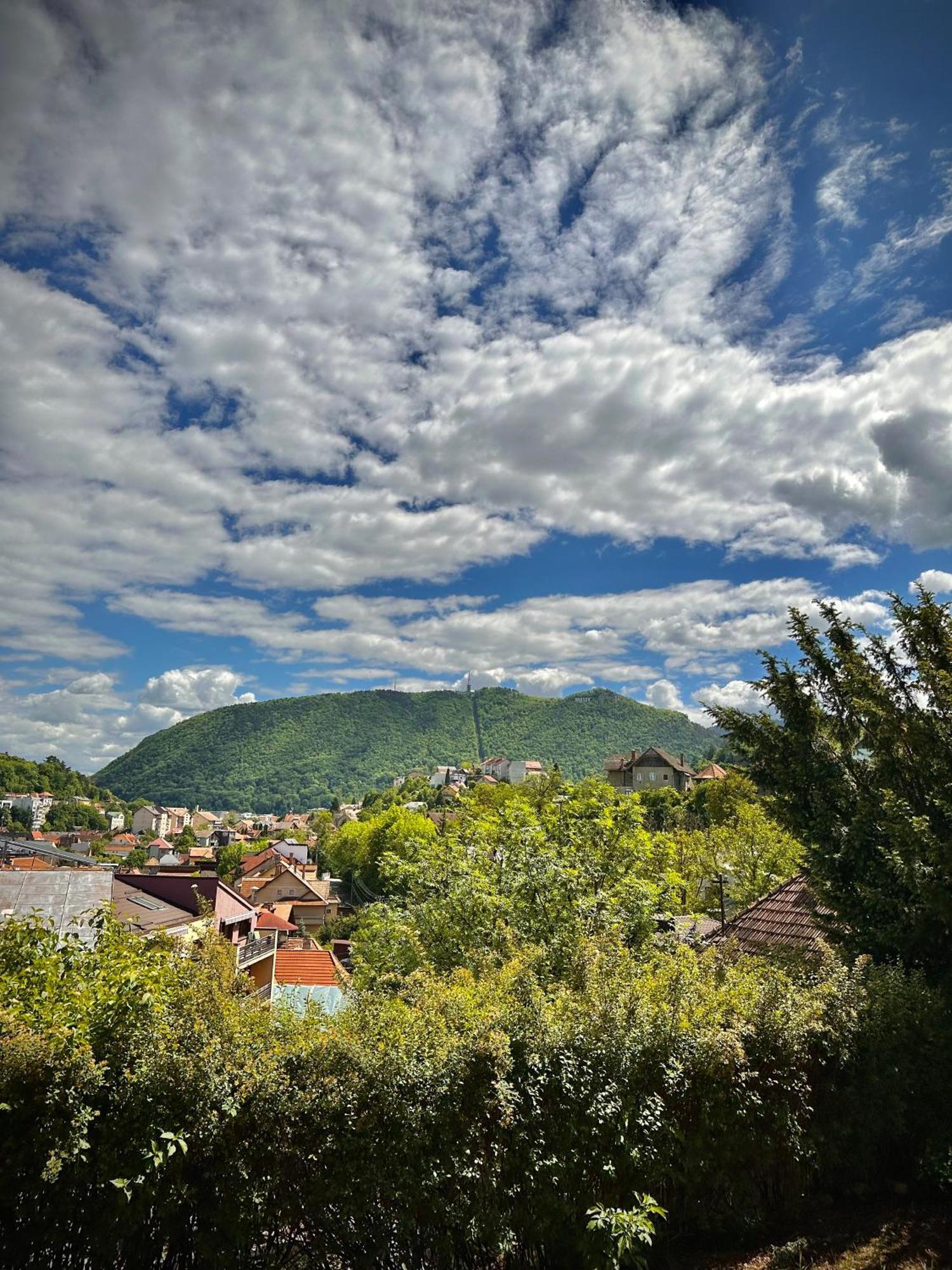 Cloos - Elegant Residence With Panoramic View Braşov Dış mekan fotoğraf